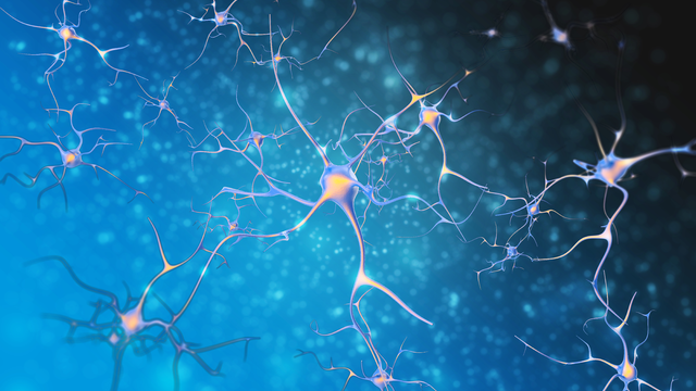 Hogyan előzheted meg a neuropátia kialakulását?