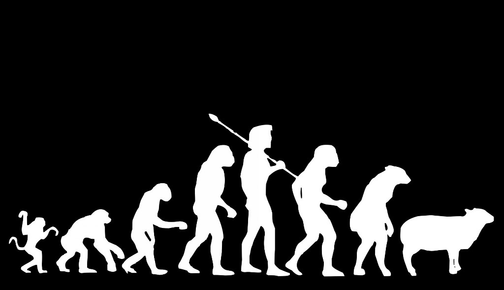 darwin-evolution.jpg