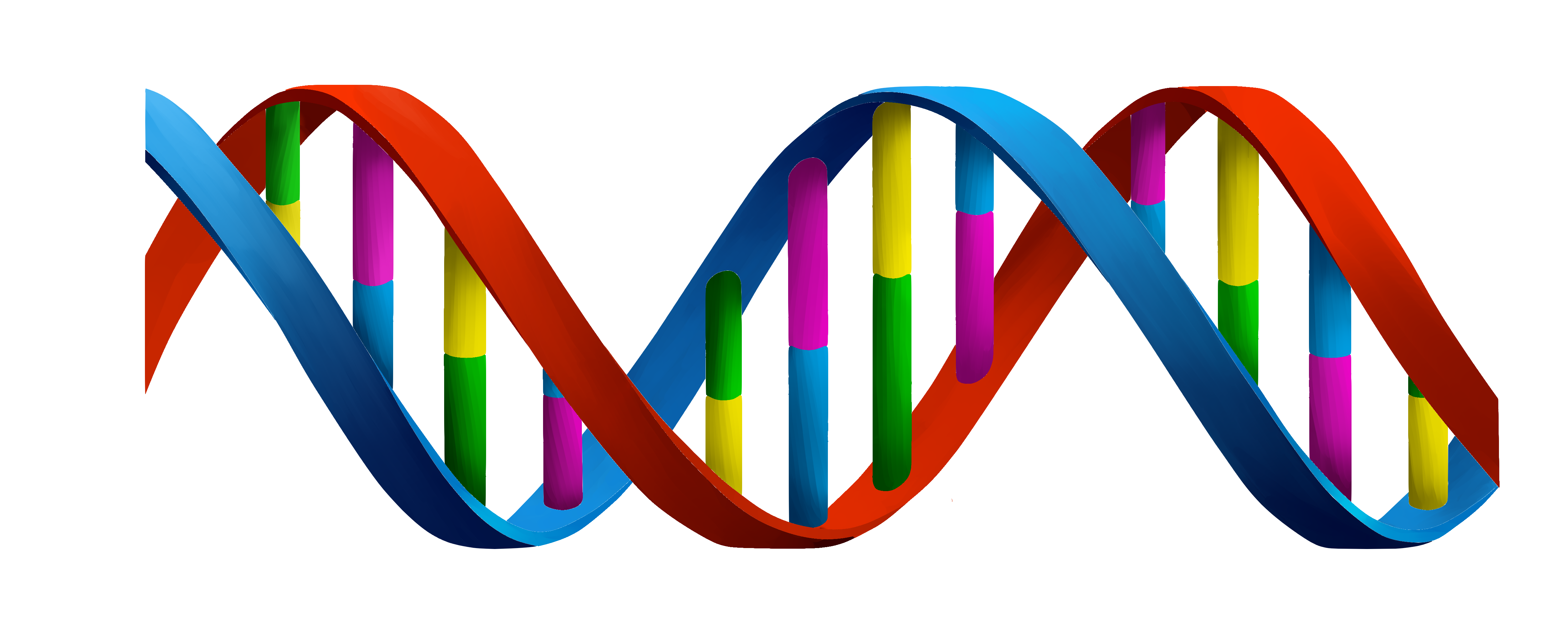 dna_png52.png