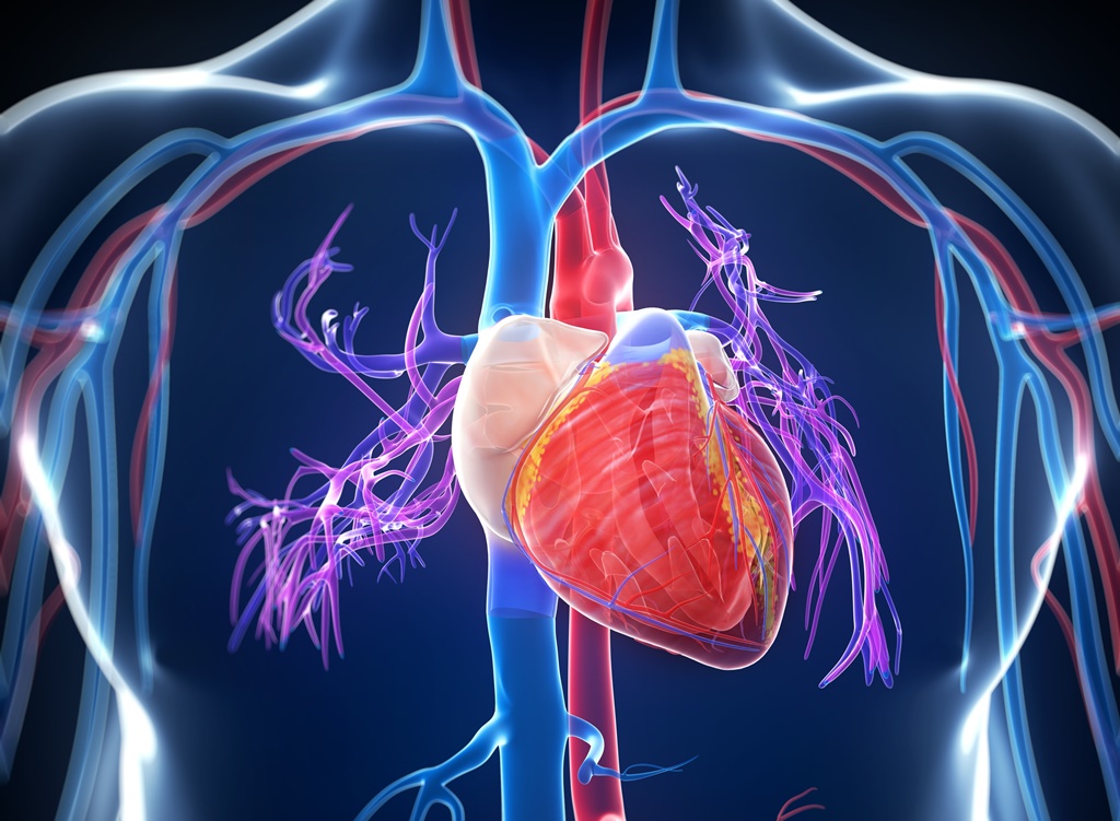 Szív- és érrendszeri betegségek 1. – Magas vérnyomás