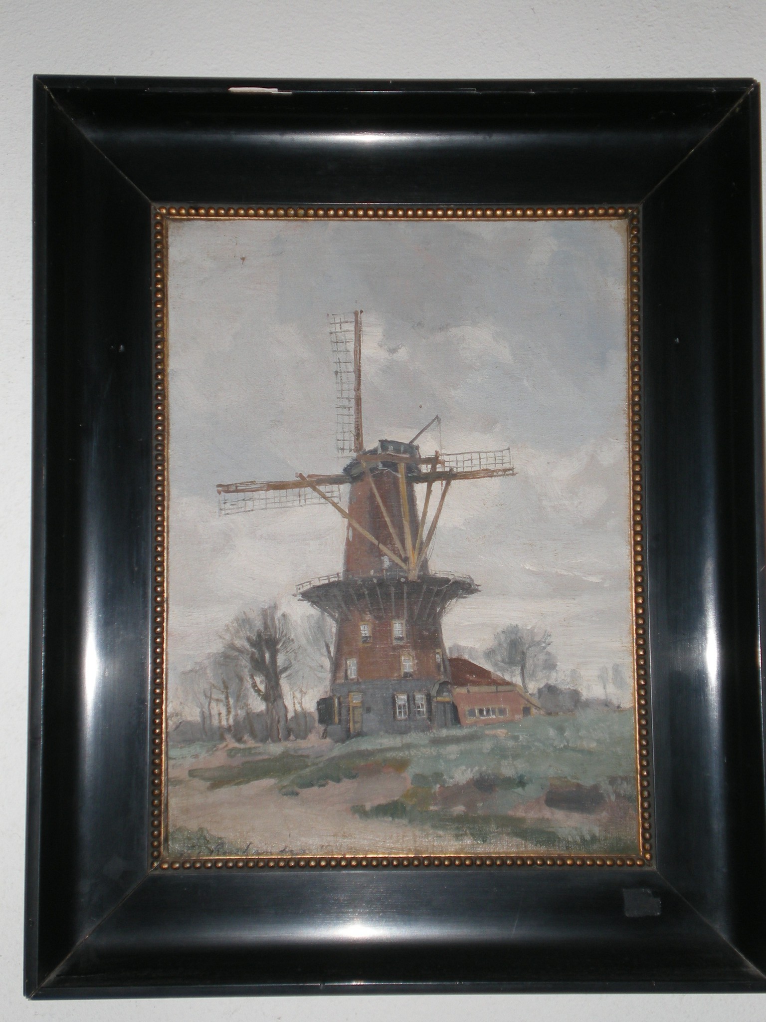 hollandia_321.jpg