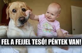 éio..jpg
