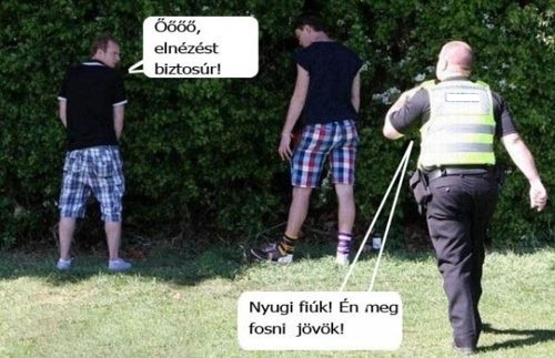 úőplkjhgfd.jpg
