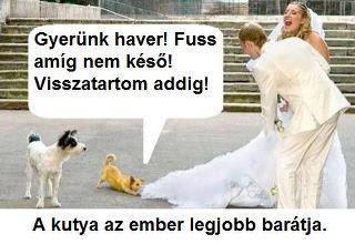 őöpoilutgzfg.jpg