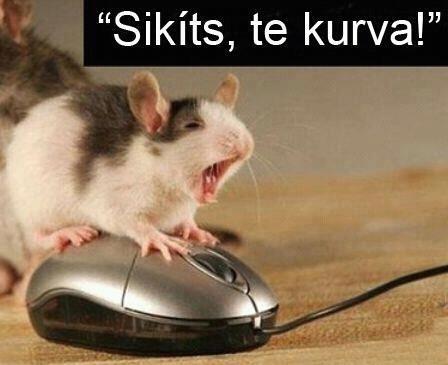 uzt.jpg
