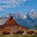 Államok, amelyekben nem kell izgalmas versenyre számítanunk 1.: Wyoming