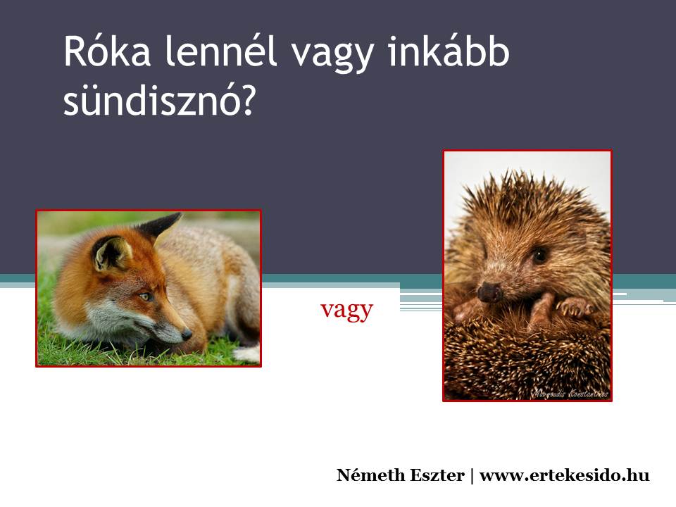 Róka lennél vagy inkább sündisznó.jpg