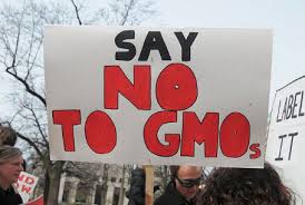 say no to gmo.jpeg