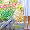 5 hasznos tipp, hogyan gondozd a kerted áprilisban