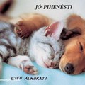 Jó pihenést Neked és szép álmokat .....