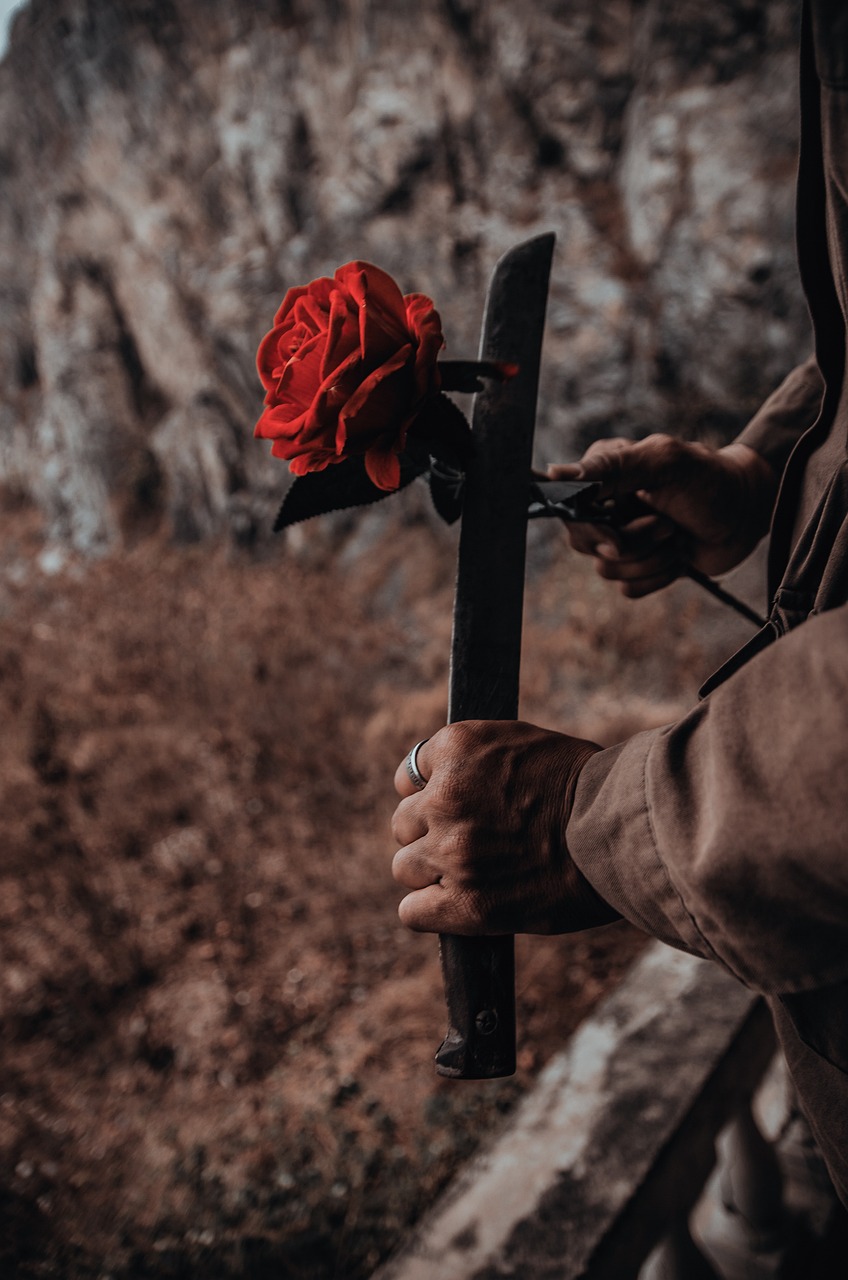 rose-4844504_1280.jpg