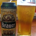 Brauer