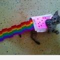 Nyan cat kicsit másképp