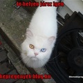 Jó helyen jársz :)
