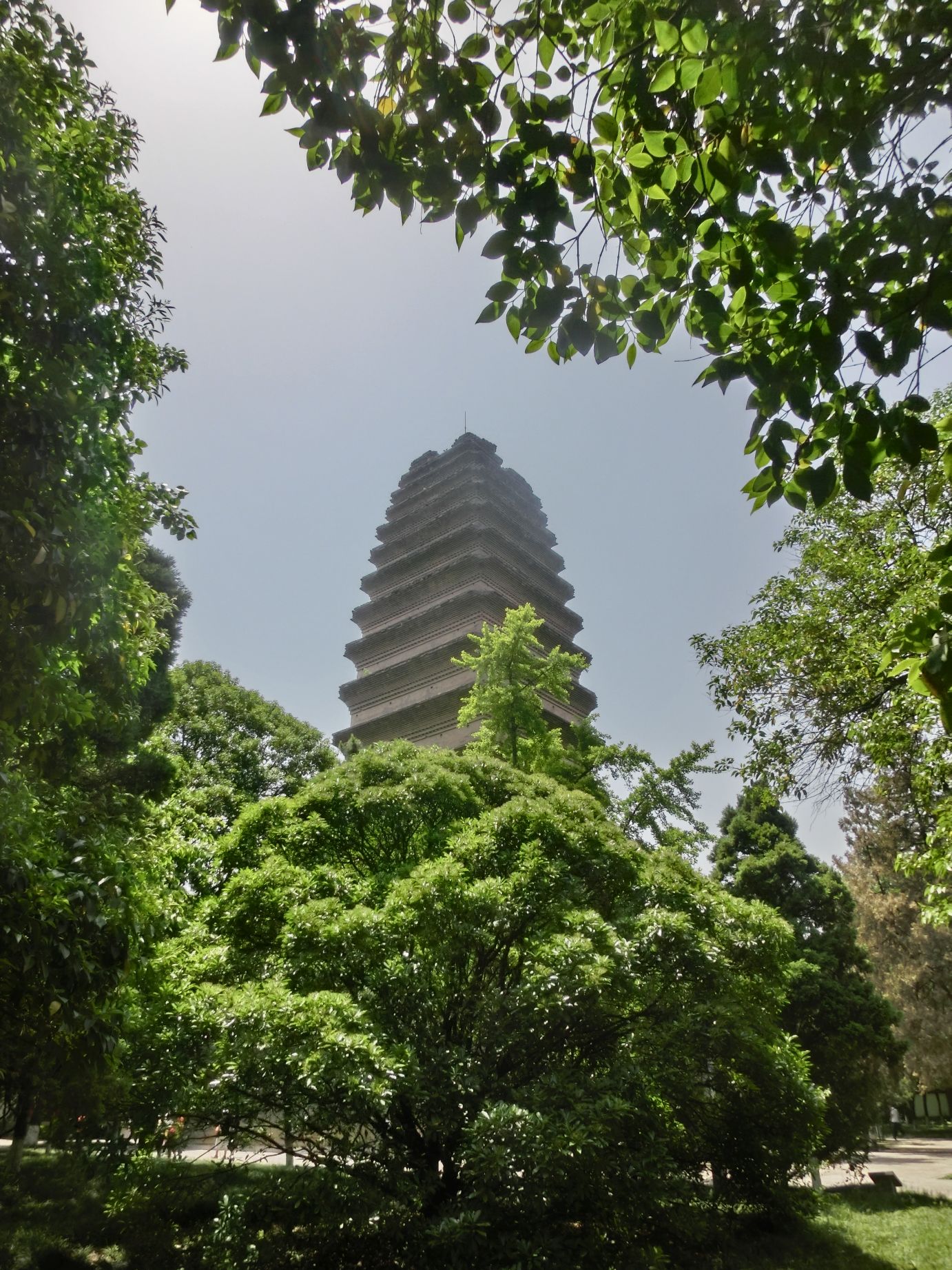 A kis vadliba pagoda