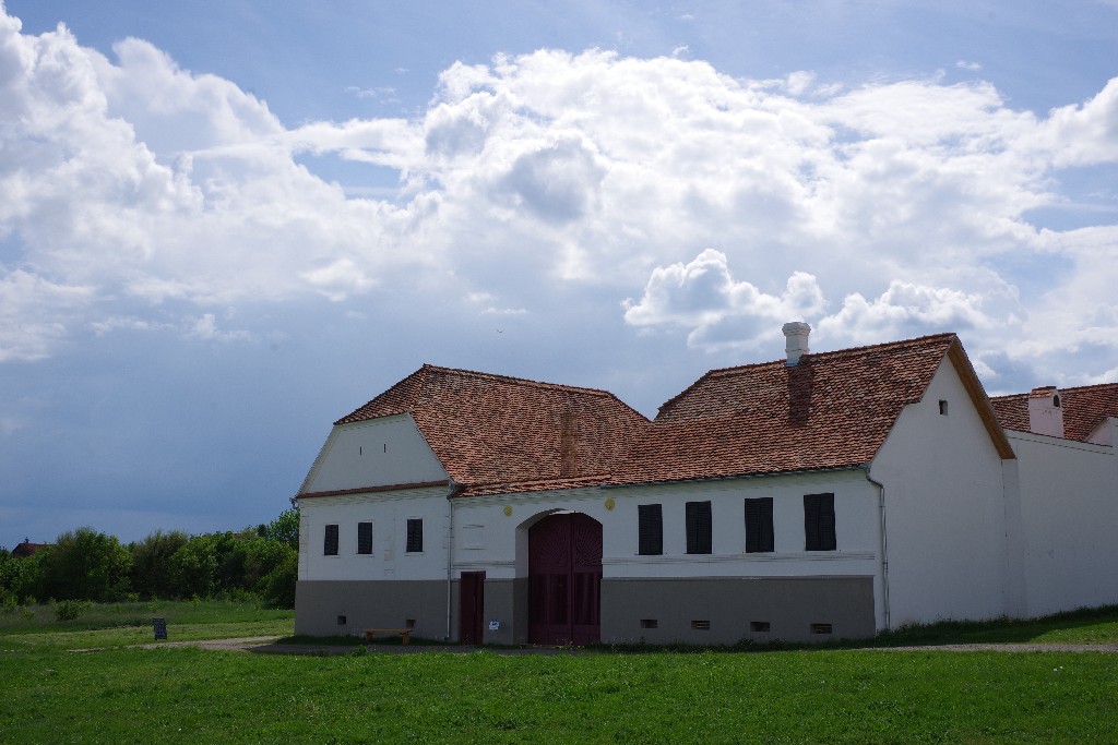 imgp3095.jpg