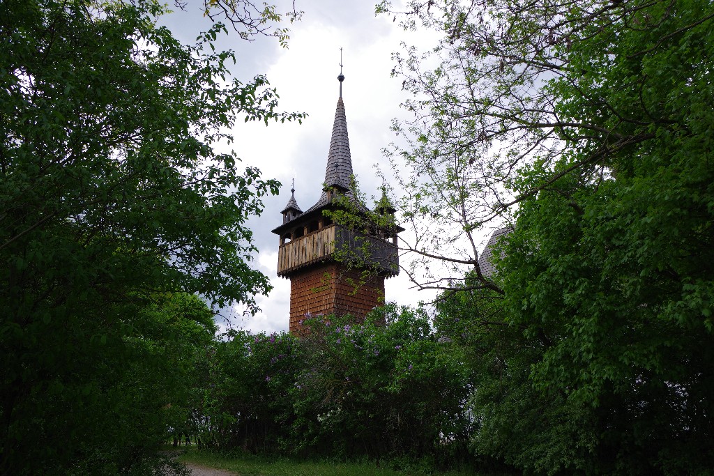 imgp3126.jpg