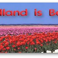 Miért épp Hollandia? Waarom echt Nederlands?
