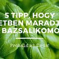 Idén (talán) nem nyírom ki a bazsalikomot - Így fogom csinálni!