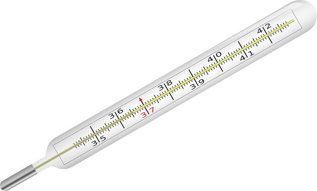 clinical-thermometer-153666_640.png