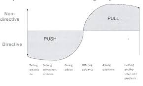 Mentorin-Coaching Paush-pull.jpg