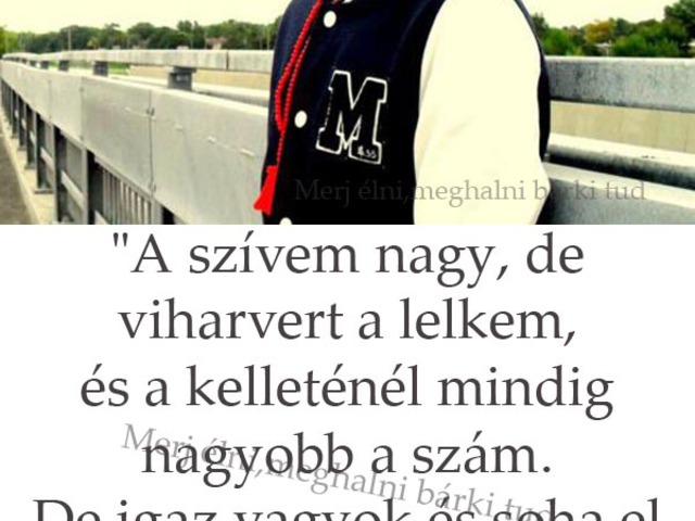 349. A szívem nagy, de viharvert a lelkem...