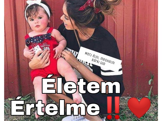 951.Életem Értelme‼️