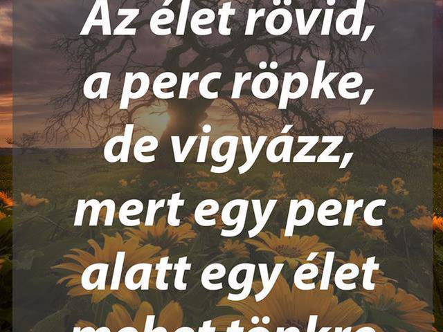 85. Az élet rövid...