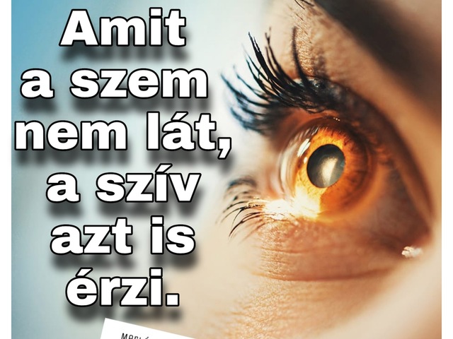 955.Amit a szem nem lát...