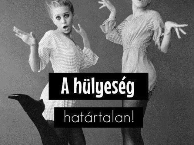 133. A hülyeség határtalan!