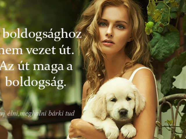 683. A boldogsághoz nem vezet út....