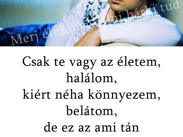 294. A legszebb vallomás...