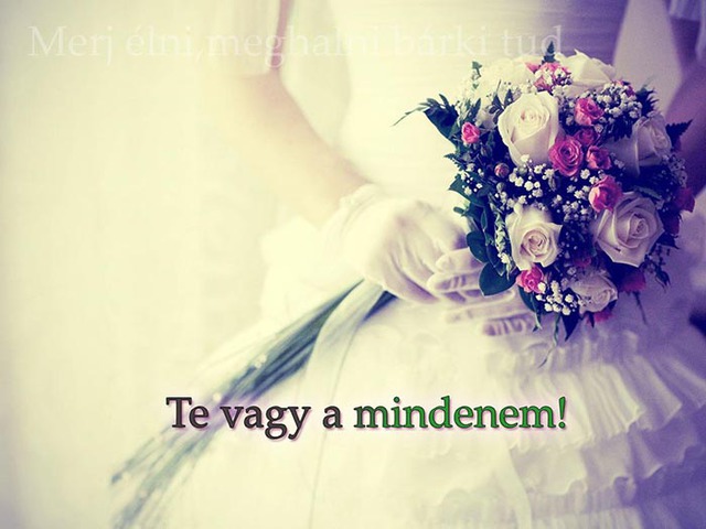 495. Te vagy a mindenem!