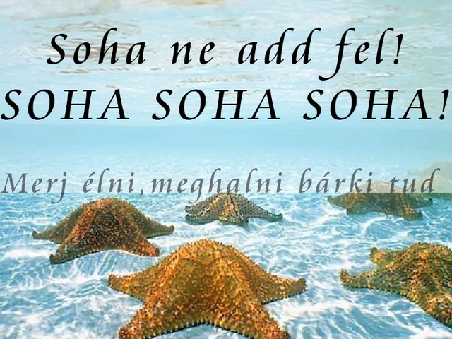 543. Soha ne add fel! SOHA SOHA SOHA!