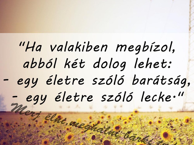 382. Ha valakiben megbízol, abból két dolog lehet: