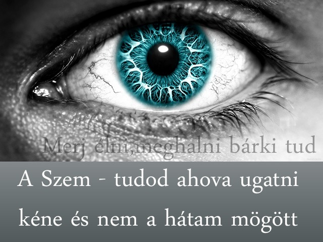 447. A szem