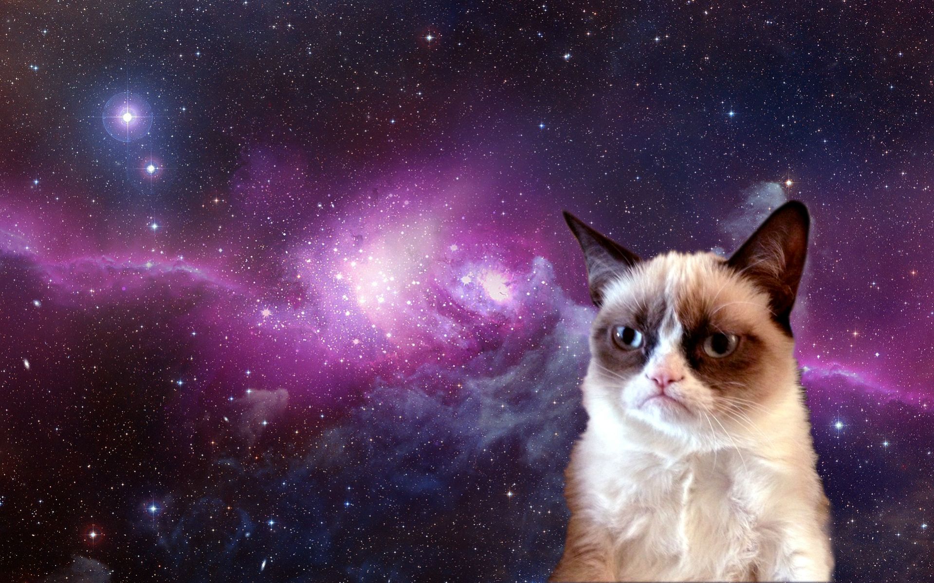 Grumpy-Cat-in-Space.jpg