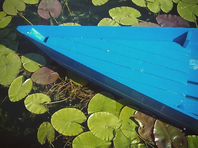 Szinek Montenegróban. Colours in Montenegro. #mertutaznijo #eupolisz #montenegro #plav #jezero #summer #travelphotography #travel #water