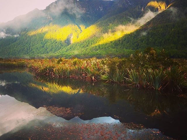 A név magáért beszél. The name speaks for itself. #mertutaznijo #newzealand #milfordsound #lake #reflection #colors #teanau
