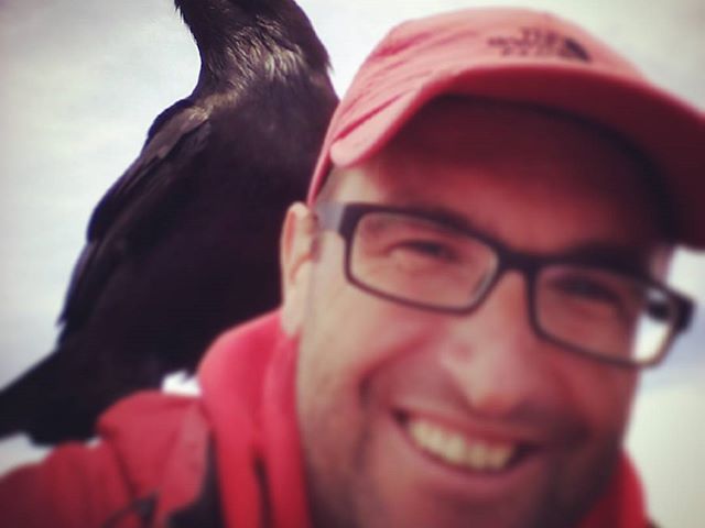 Oh yes, he is real wild bird. Ó igen, ő igazi vad madár. @reni.atesz #mertutaznijo #canarias #eupolisz #animals #travelphotography #travel #roquedelosmuchachos