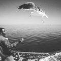 Dinnertime. #mertutaznijo #eupolisz  #namibia #afrika #walvisbay #waalvisbaai #feeding #cruise #seagull #