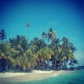 Uninhabited island somewhere in the Caribbean. 
#mertutaznijo #eupolisz #caribbean #island #uninhabited #sea #sun #sand #beach #lonely #clearwater #palm @reni.atesz