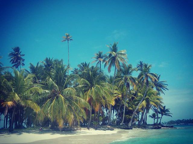 Uninhabited island somewhere in the Caribbean. 
#mertutaznijo #eupolisz #caribbean #island #uninhabited #sea #sun #sand #beach #lonely #clearwater #palm @reni.atesz