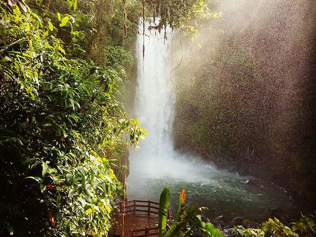 Egy kis trópusi idill. Tropical idyll. #mertutaznijo #eupolisz #costarica #puravida #centroamerica #lapaz #waterfall #jungle #river #peace