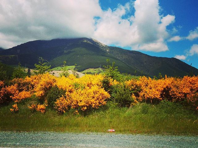 Szinek. Mennyit látsz? Colours. How much can you see! #mertutaznijo #eupolisz #newzealand #újzéland #travelphotography #travel #colours #green #yellow #blue #white #clouds