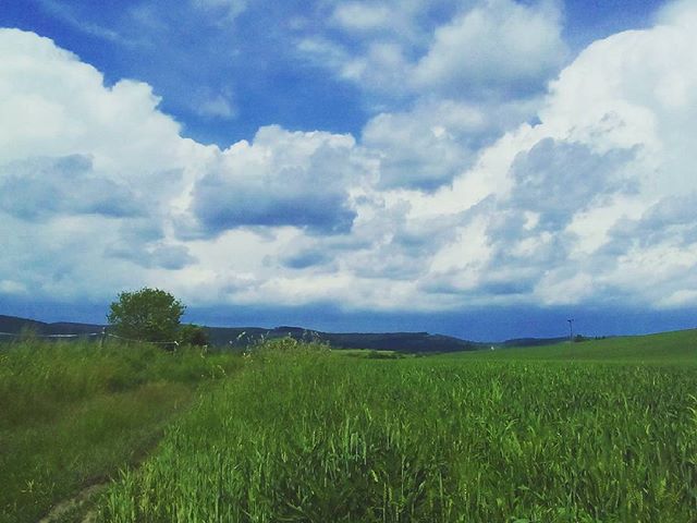 Otthon, édes otthon. Home sweet home. #mertutaznijo #vadna #summer #clouds #borsod #banvolgye