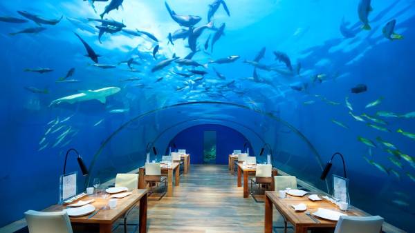 005276-16-Ithaa-Undersea-Restaurant.jpg