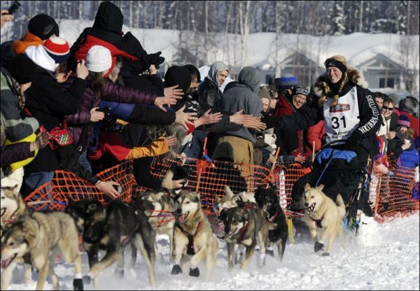 Iditarod-Trail-Sled-Dog-Race.jpg