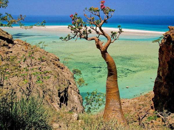 Socotra-island-thesuiteworld.jpg