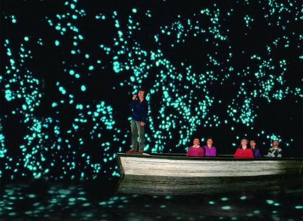 Waitomo Glowworm Caves.jpg